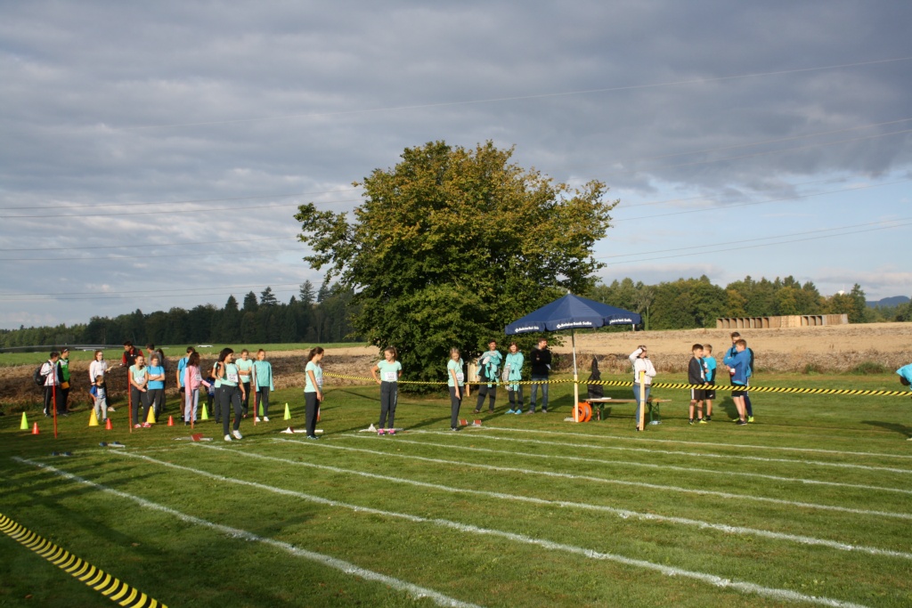 Bild 1 (31)